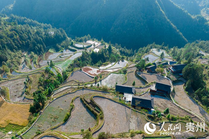 航拍大山深處的雷山縣西江鎮(zhèn)龍?zhí)链逄萏铩Ｈ嗣窬W(wǎng) 涂敏攝