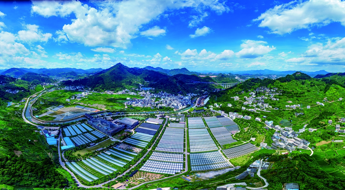 舟溪云谷田園全景。