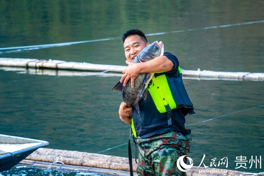 工作人員展示收獲鳙魚。人民網(wǎng)記者 涂敏攝