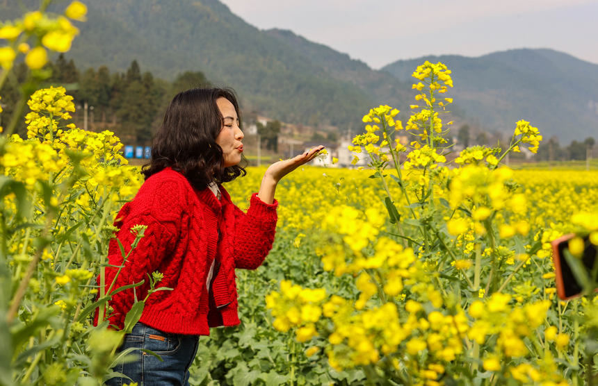 游客在油菜花間游玩。