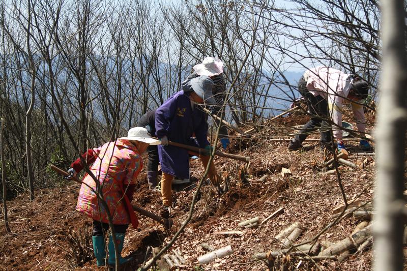 3月13日，村民在貴州省大方星宿鄉(xiāng)天麻種植基地平整土地。（鄭永揚 攝）.JPG