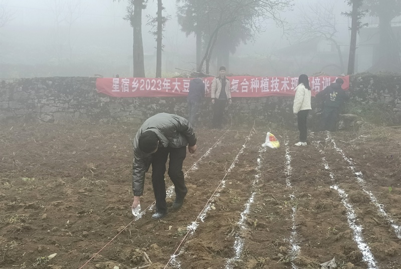 3月20日，村干部在貴州省大方縣星宿鄉(xiāng)棕樹村培訓(xùn)現(xiàn)場用石灰粉畫線。呂麗萍攝