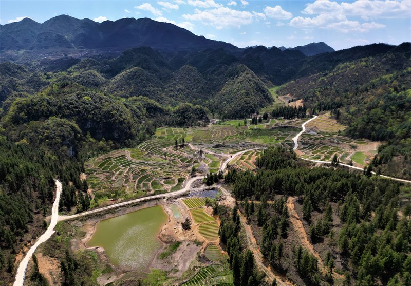 4月17日，貴州省大方縣長石鎮(zhèn)山壩村海花基地航拍。何志剛攝