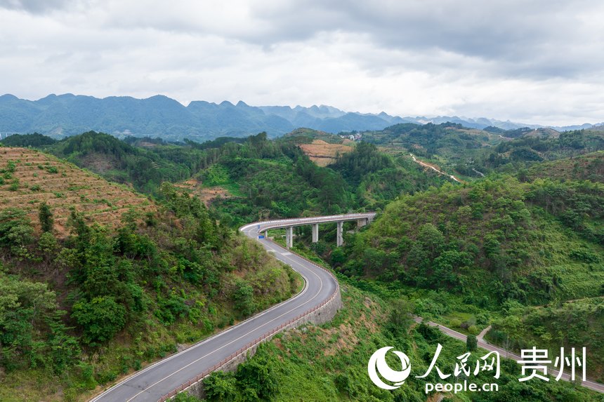 航拍荔波至王蒙至瑤山“共同富裕路”及10萬(wàn)畝精品水果走廊帶。人民網(wǎng)記者 涂敏攝