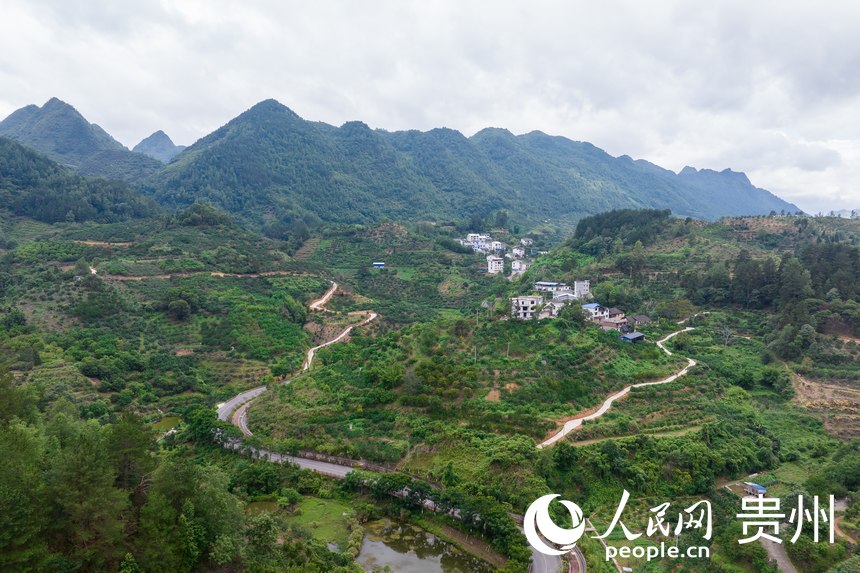 航拍荔波至王蒙至瑤山“共同富裕路”及10萬畝精品水果走廊帶。人民網(wǎng)記者 涂敏攝