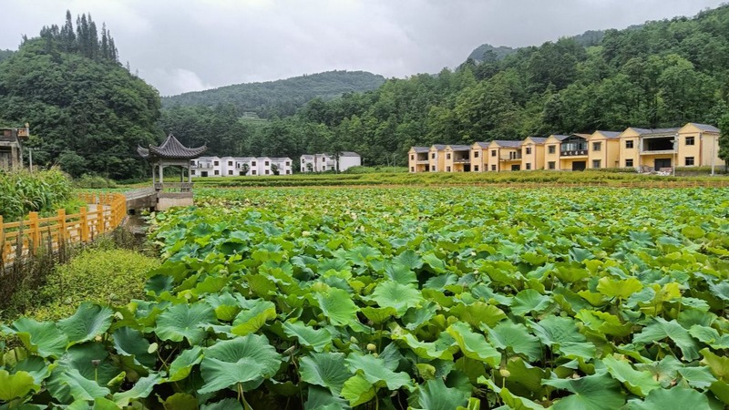 修文縣大石布依族鄉(xiāng)石林村 姜繼恒 攝.jpeg