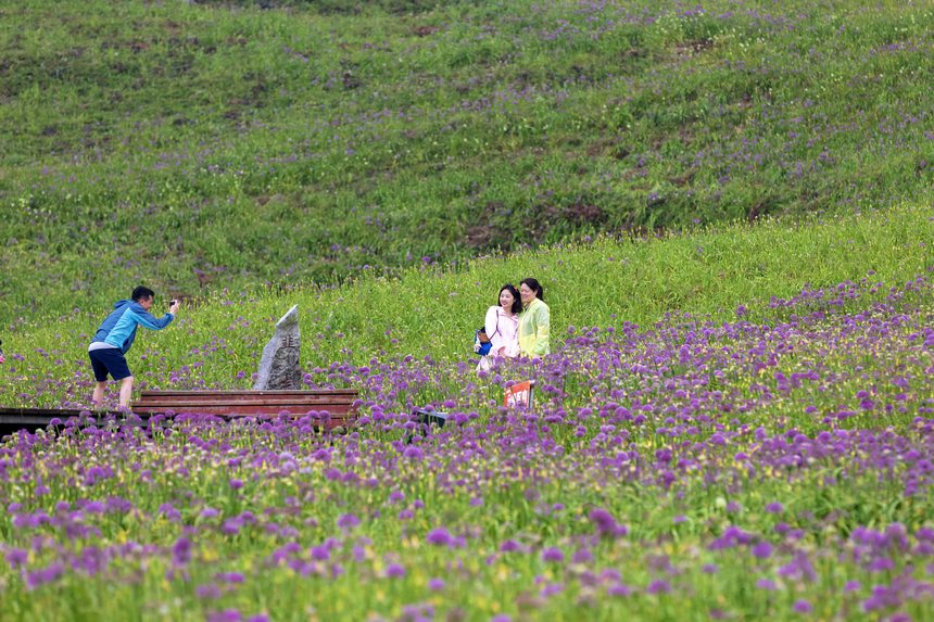 貴州屋脊韭菜坪。