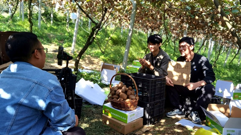 貴州美好推薦官周周團隊周周、東毛正在進行獼猴桃直播與粉絲互動 修文縣融媒體中心伍維玉 攝.jpg