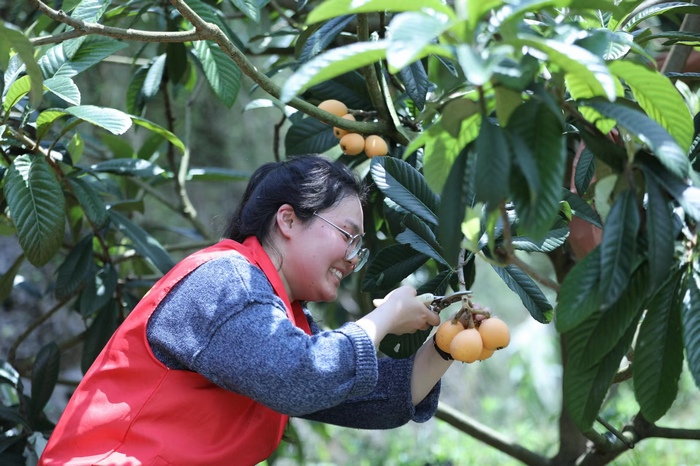 富硒產(chǎn)業(yè)。