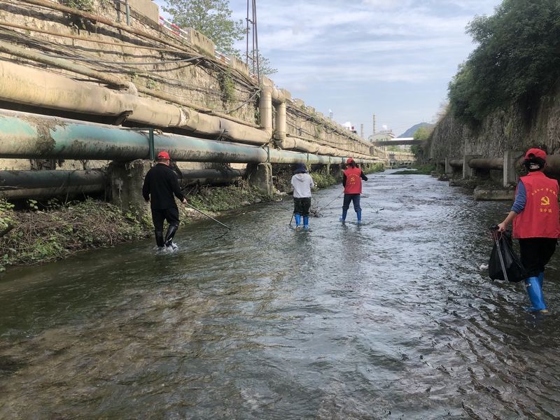 河河道進行巡護清理。