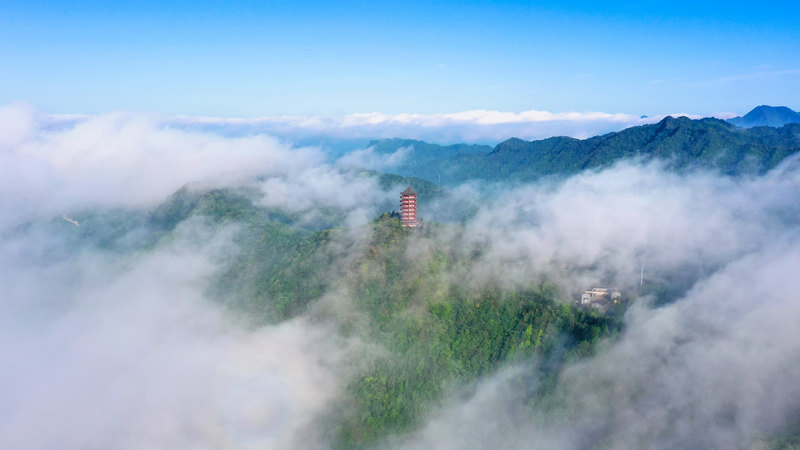 云霧繚繞的箐山森林公園 。習(xí)水縣融媒體中心供圖