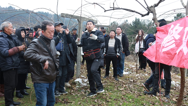 專家與培訓(xùn)學(xué)員前往平灘村獼猴桃基地進(jìn)行現(xiàn)場(chǎng)實(shí)操培訓(xùn) 修文縣融媒體中心陶群 攝.jpg