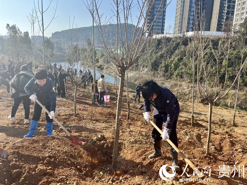 干部群眾植樹(shù)干勁足。人民網(wǎng) 李麗萍攝