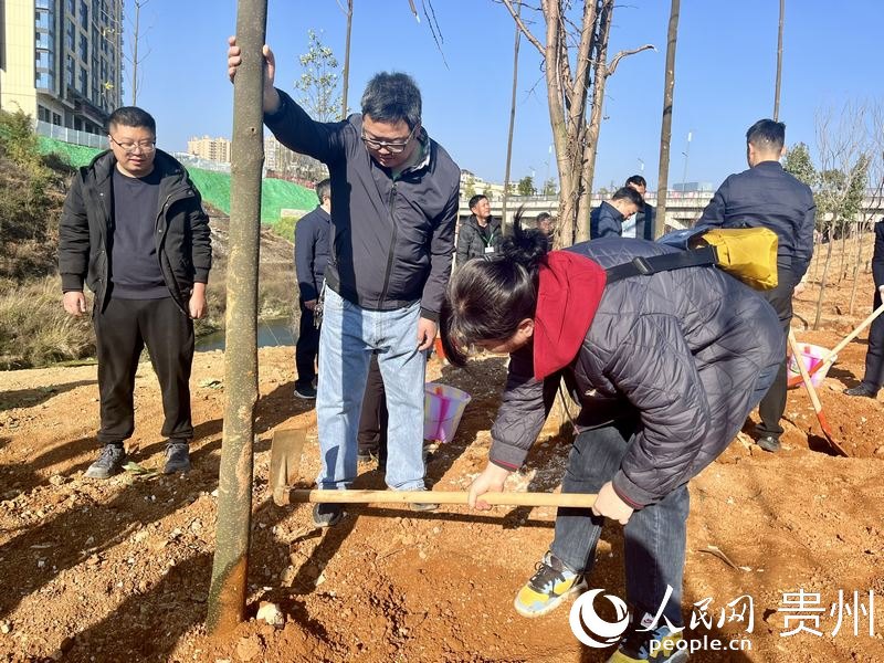 大家紛紛加入植樹(shù)行列。人民網(wǎng) 李麗萍攝