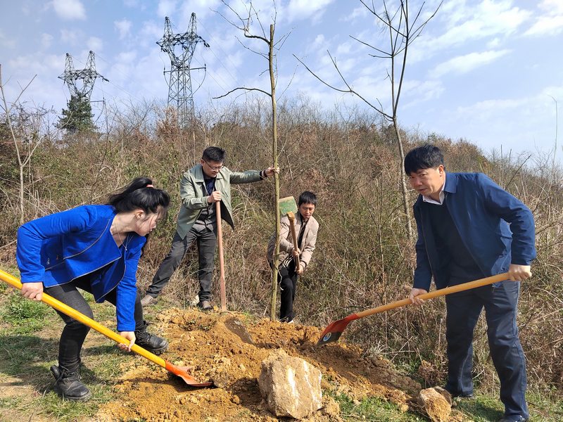 圖為：高寨鄉(xiāng)黨員干部開展義務(wù)植樹活動(dòng) (3).jpg