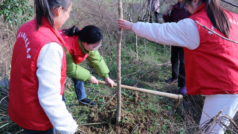 “小青椒”志愿者種植春暉林.jpg