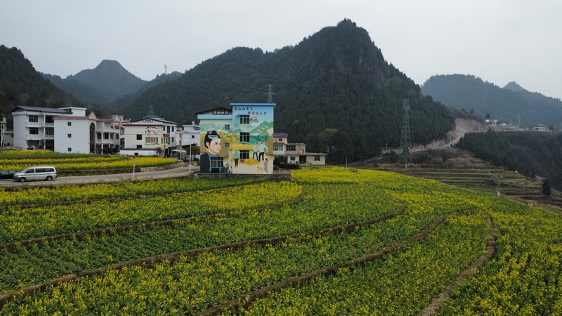 郭家灣油菜花田。