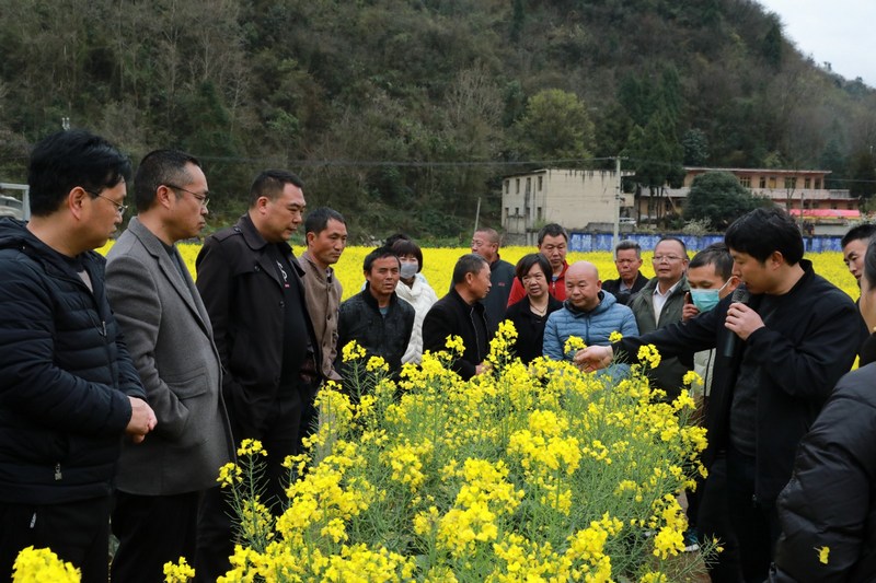 (1)2024年3月18日，圖為農技專家為大家講解油菜“超級寬窄行”創(chuàng)新栽培模式。（任芳靚 攝）.jpg