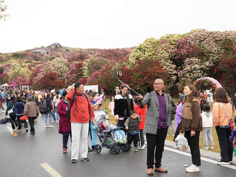 4月4日，在貴州畢節(jié)百里杜鵑普底景區(qū)錦繡坪，游客正在拍照打卡。楊品益攝