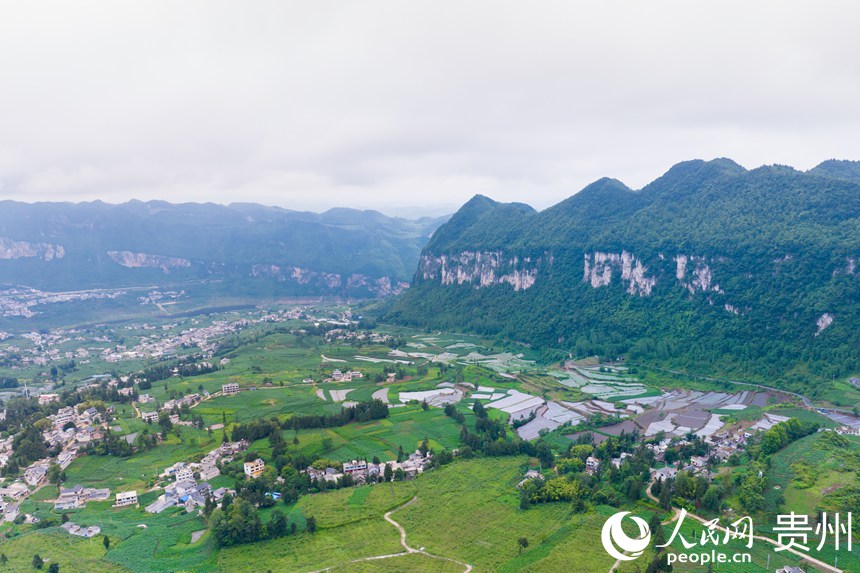 航拍貴州省畢節(jié)市大方縣對江鎮(zhèn)石桅村“大方皺椒”種植基地。人民網(wǎng)記者 涂敏攝