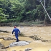 連日來(lái)，受暴雨天氣影響，三都縣部分村寨出現(xiàn)線(xiàn)路電桿倒伏……