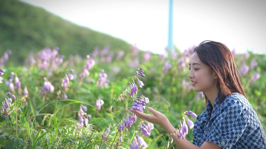 游客感受玉簪花海的魅力。