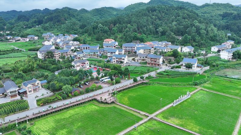 3、花茂村公路橫穿田野。劉青攝