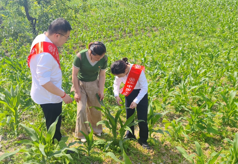 到種植基地查看并提供金融支持。