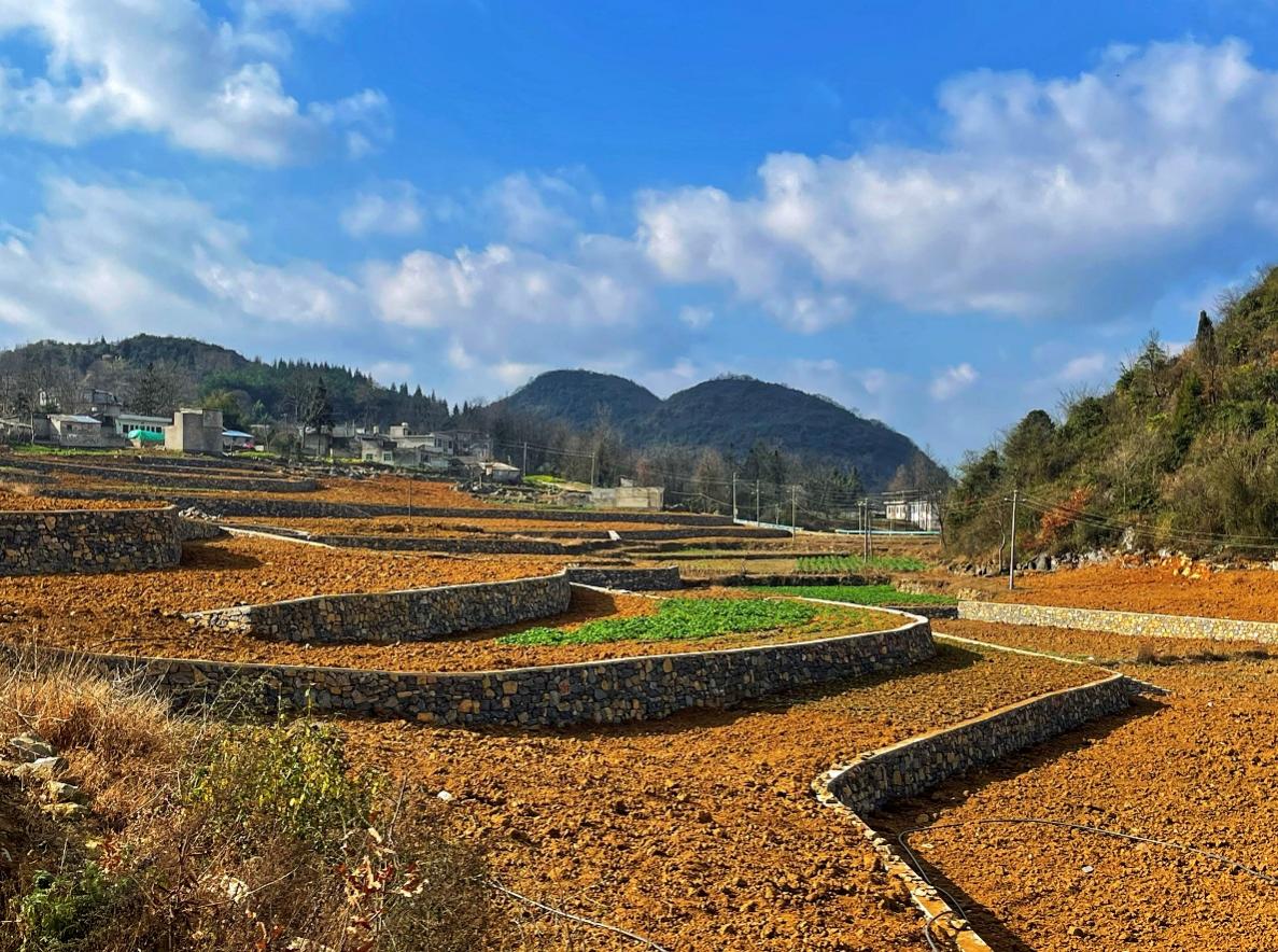 新豐小流域項(xiàng)目石坎坡改梯完工效果。安芮攝