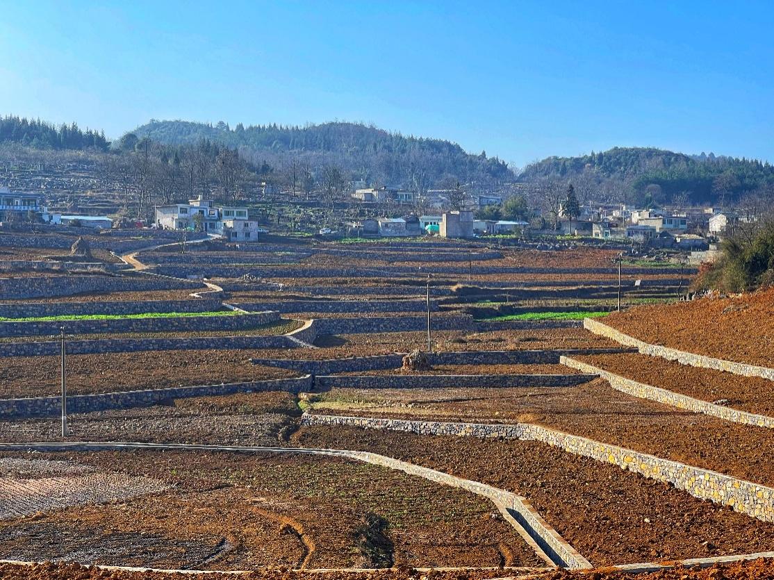 新豐小流域項(xiàng)目石坎坡改梯完工效果。安芮攝