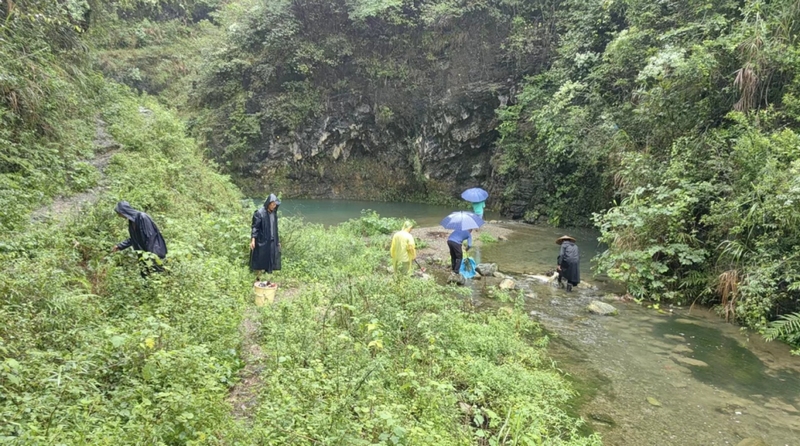 黨員干部、志愿者積極開展巡河護(hù)河及河道清理整治行動(dòng) (2)