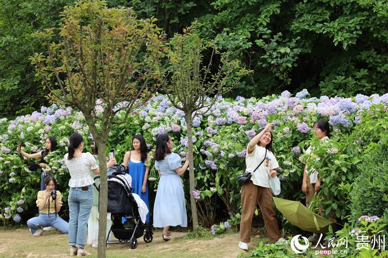 2、觀山湖公園游人如織，人民網(wǎng)  潘佳倩  攝