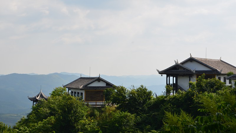 圖為：云山茶海民宿