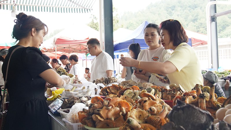 5、食客正在購(gòu)買(mǎi)野生菌。