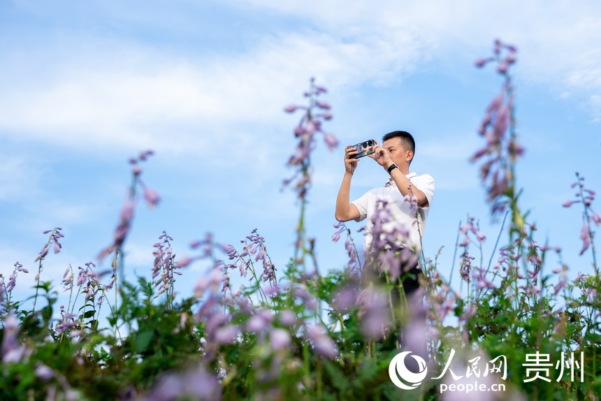 游客在玉簪花叢中拍照打卡。人民網(wǎng)記者 涂敏攝